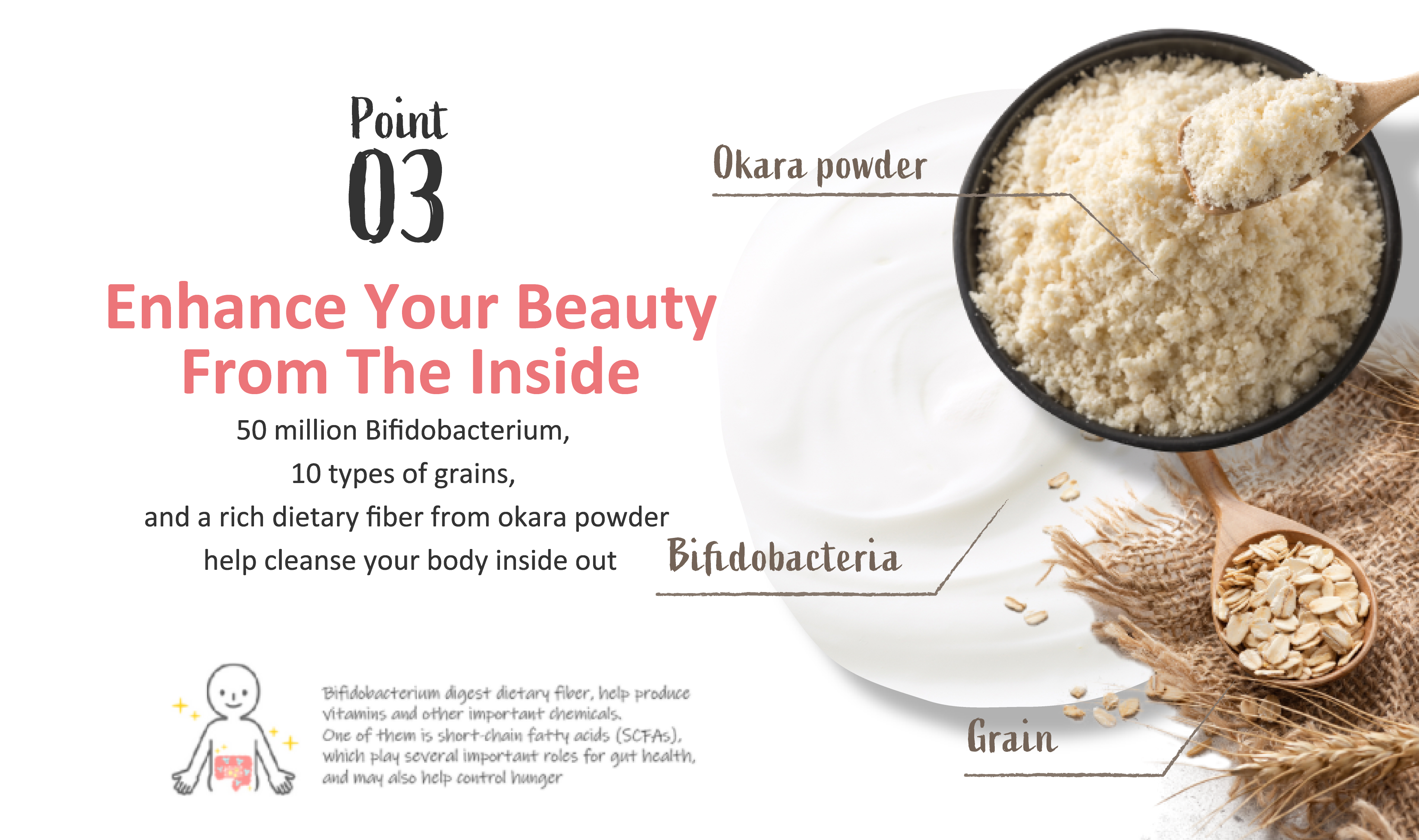 Fungal activity x beauty activity x dietary fiber Refreshing from the inside